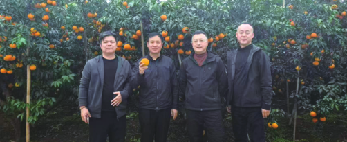 694f25cf4e3d519e045596a8fdd32a30.png 5.png